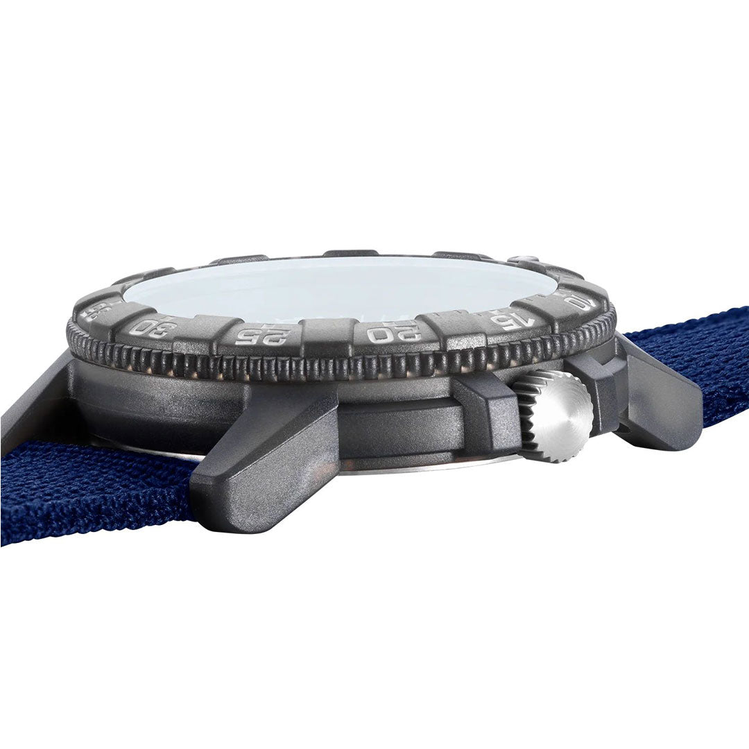 Sea Turtle Giant - Redbull Racing Ampol