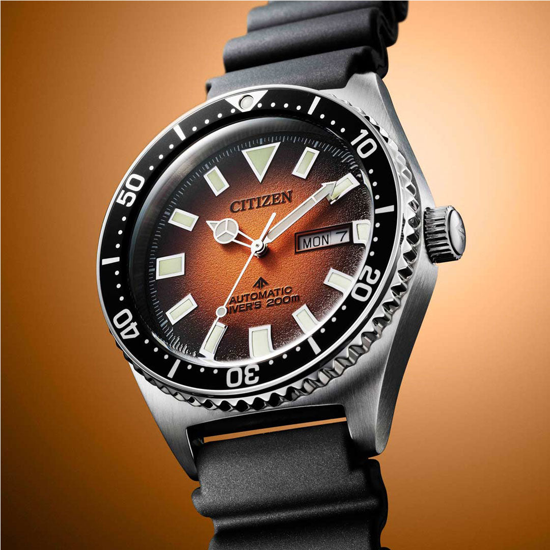 Citizen Promaster