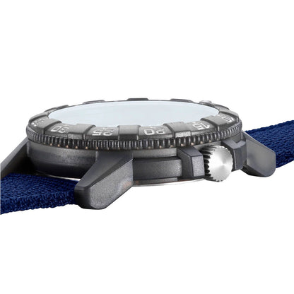 Sea Turtle Giant - Redbull Racing Ampol
