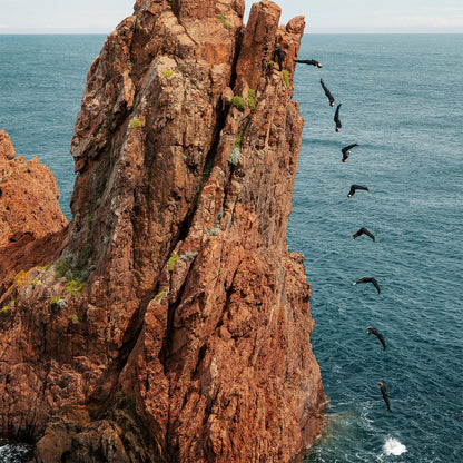 Aquascaphe MK2 - Warm Silver