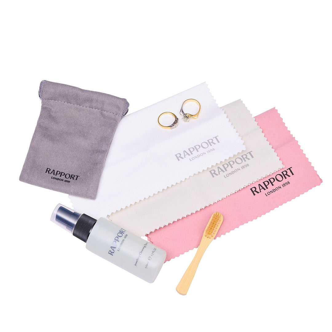 Luxury Watch Cleaning Kit