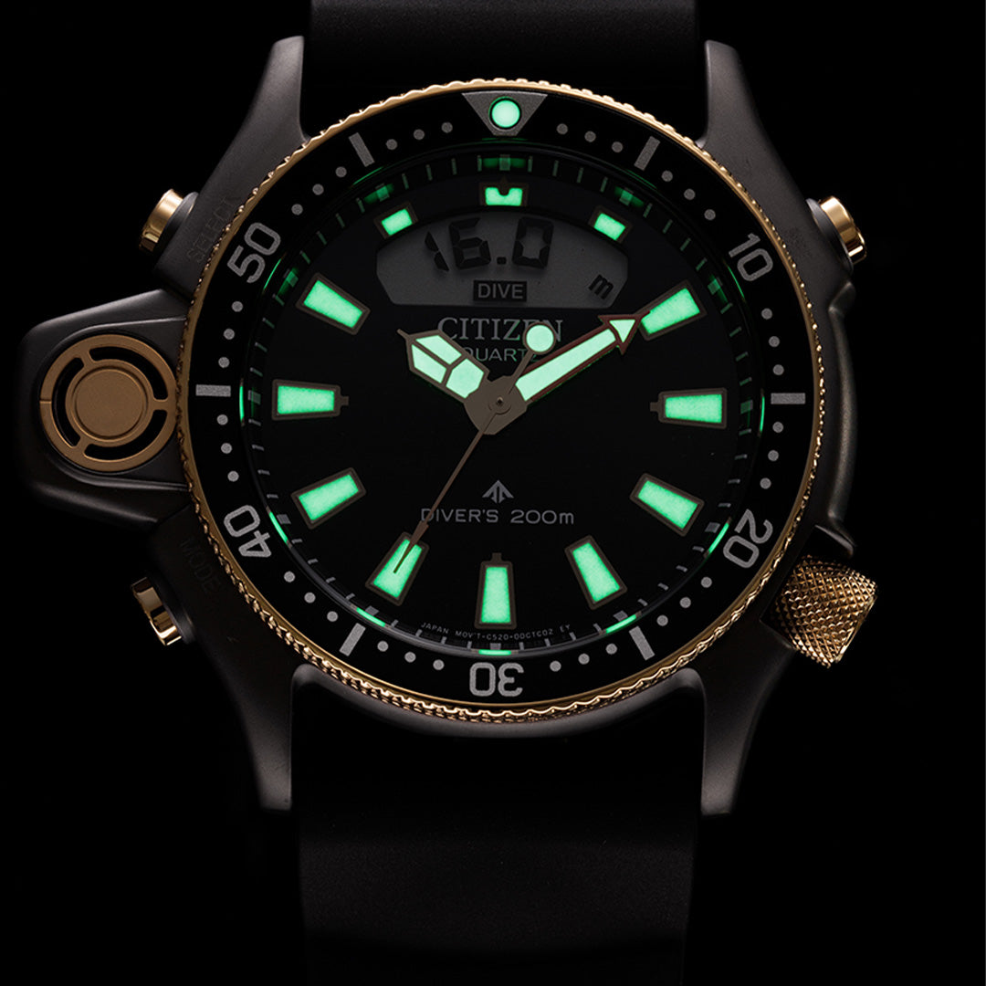 Promaster - JP2008-06E Limited edition